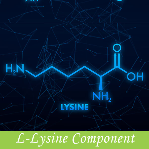 L Lysine component
