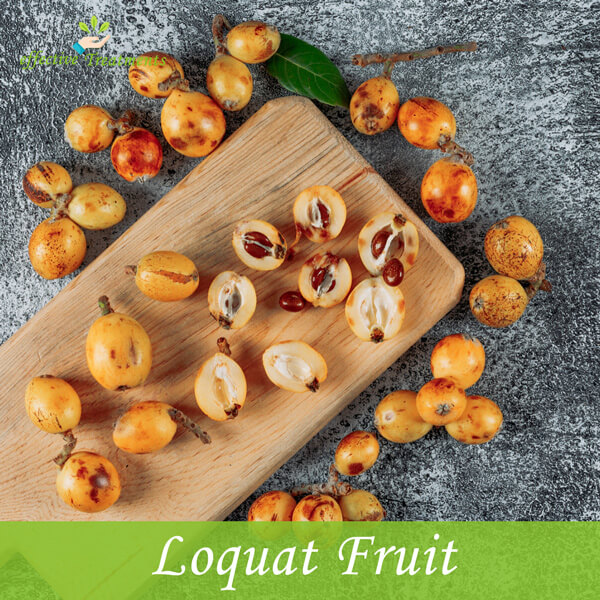 Loquat Fruit