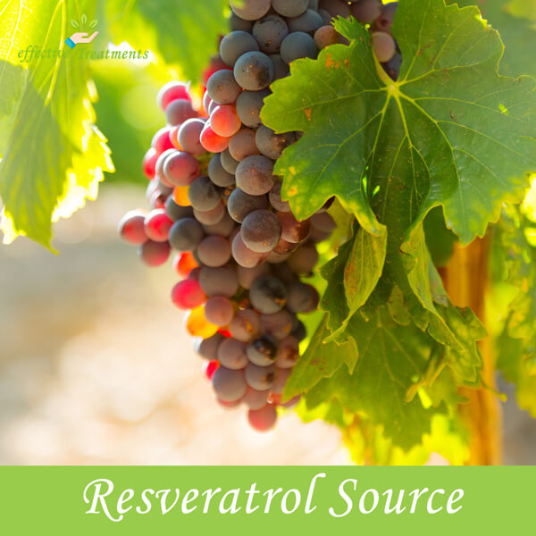 Resveratrol The Natural Fountain of Youth? (7 Benefits)