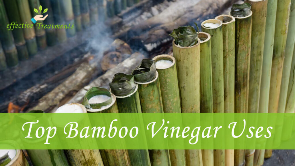 Bamboo Vinegar 5 Health Benefits (That Will Surprise You!)
