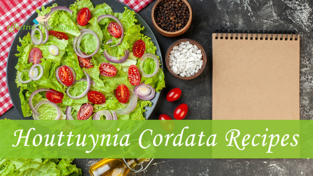 Top 3 Recipes with Houttuynia Cordata Thunb