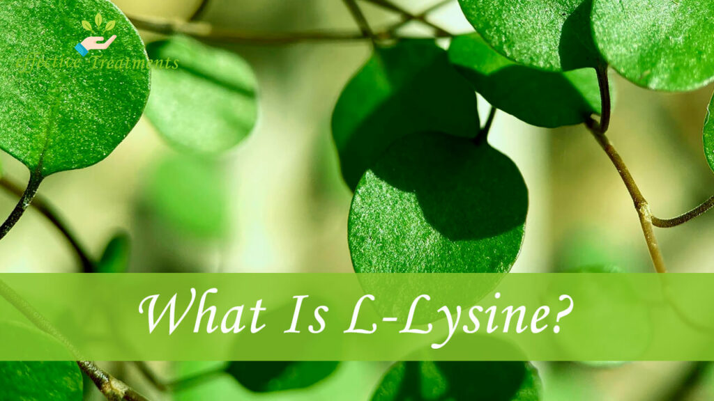 What Is L Lysine
