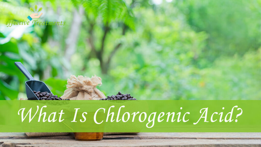 What is Chlorogenic Acid