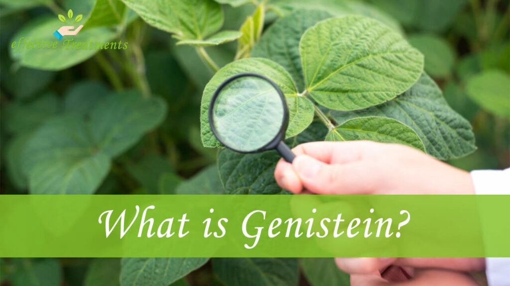 What is Genistein