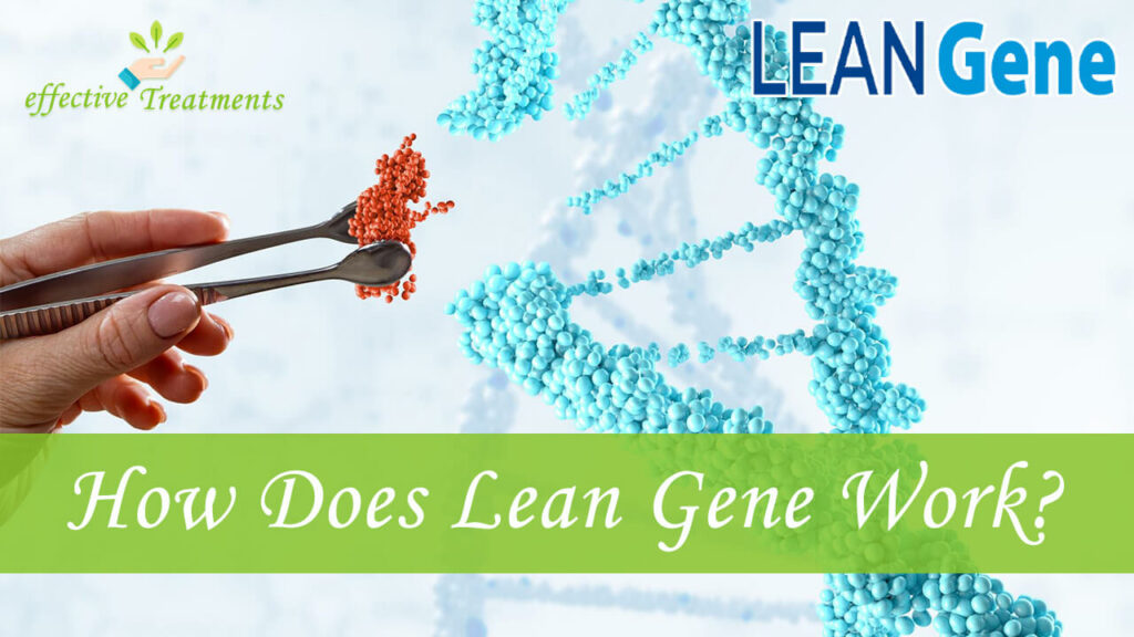 How Does Lean Gene Work