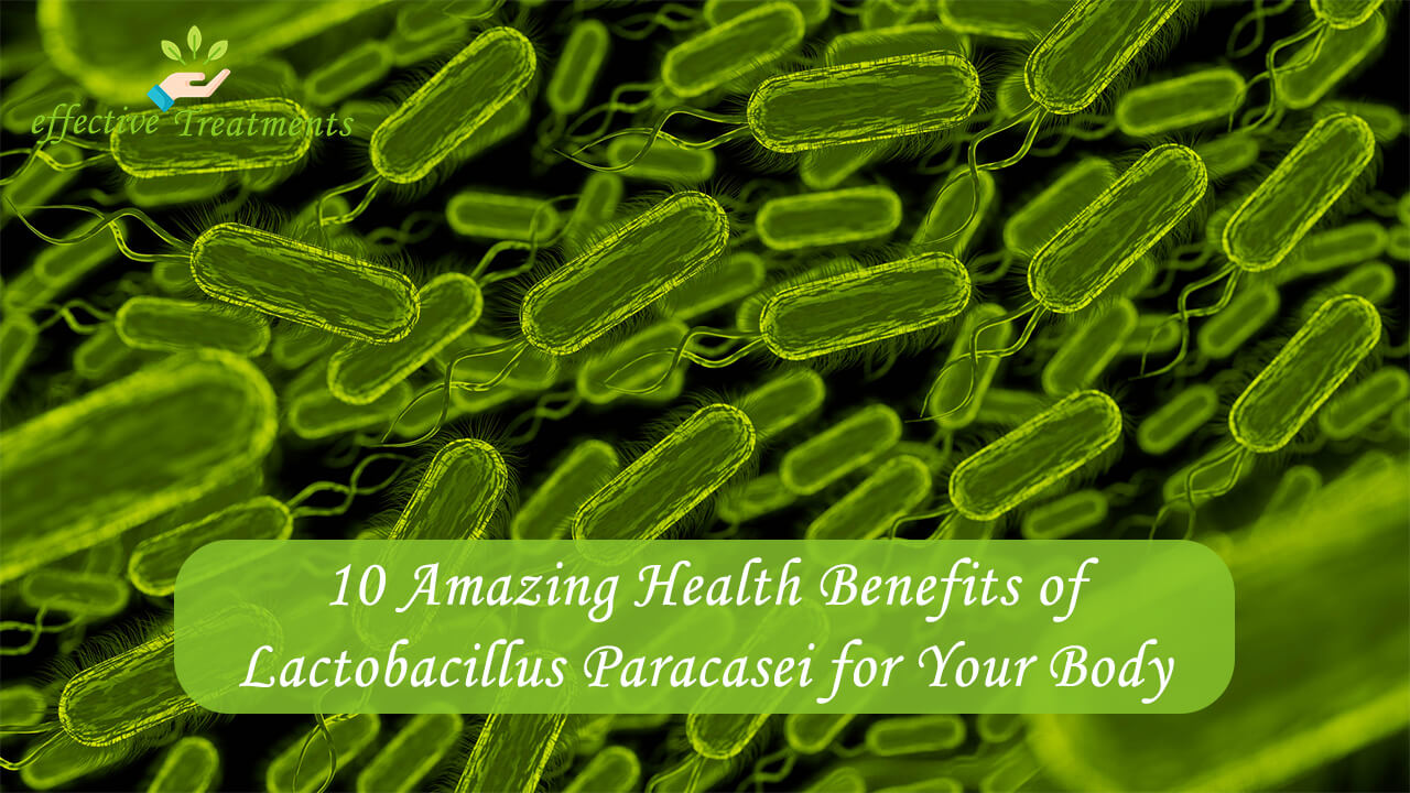 10 Amazing Health Benefits of Lactobacillus Paracasei for Your Body