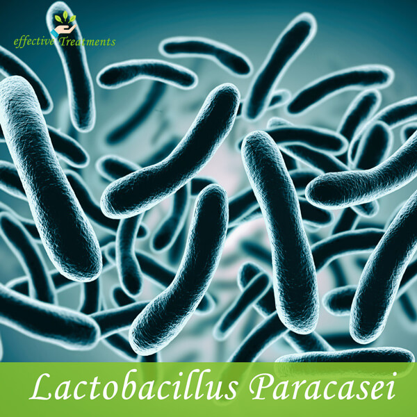 10 Amazing Health Benefits of Lactobacillus Paracasei for Your Body