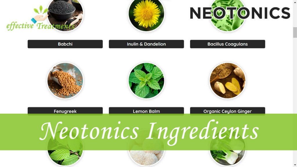 Neotonics Ingredients