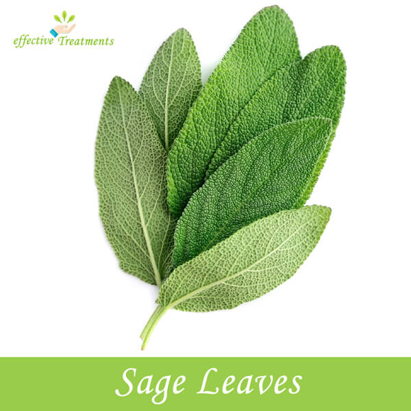 Sage Leaves