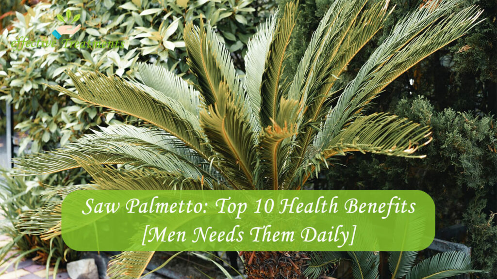 Saw Palmetto Top 10 Health Benefits [Men Needs Them Daily]