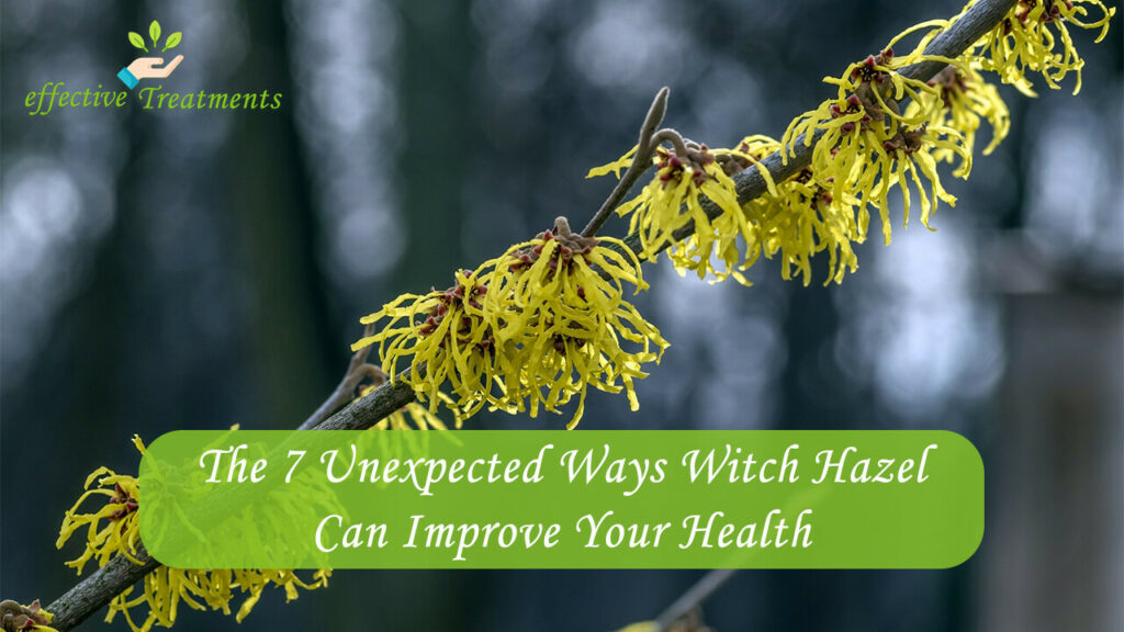 The 7 Unexpected Ways Witch Hazel Can Improve Your Health