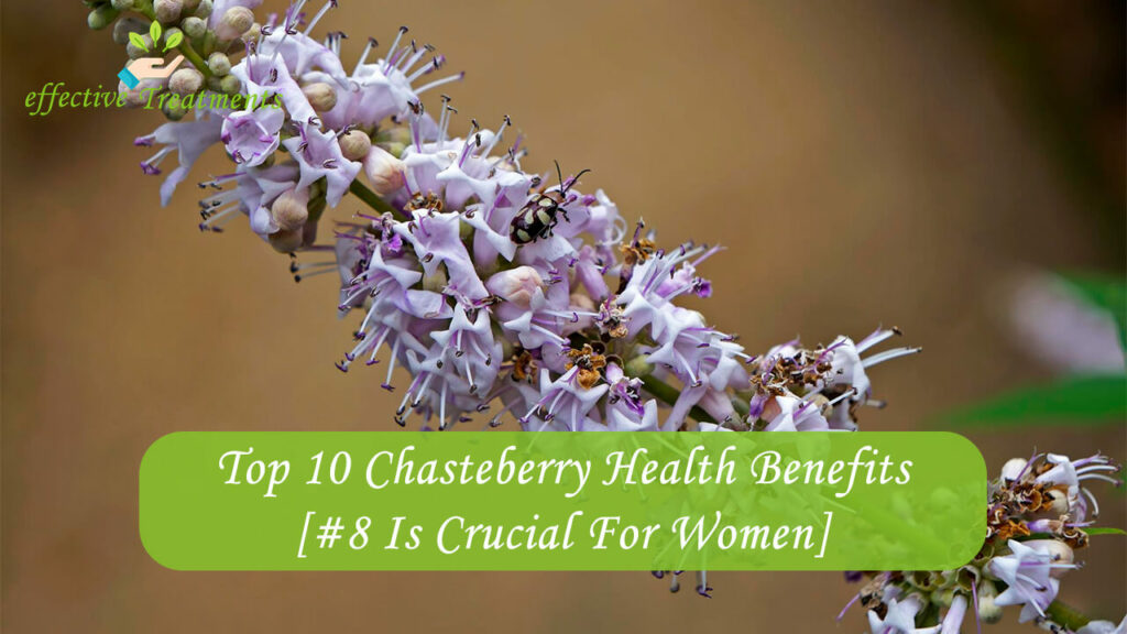 Top 10 Chasteberry Health Benefits [#8 Is Crucial For Women]