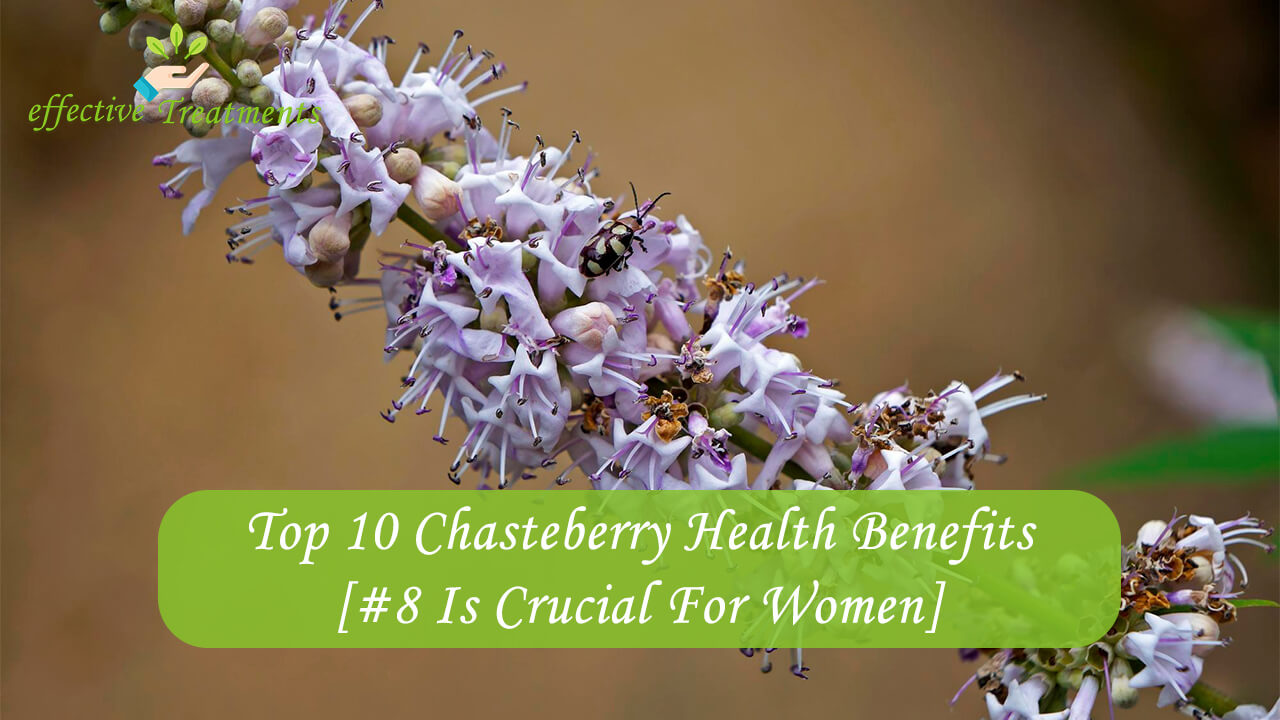 Top 10 Chasteberry Health Benefits [#8 Is Crucial For Women]