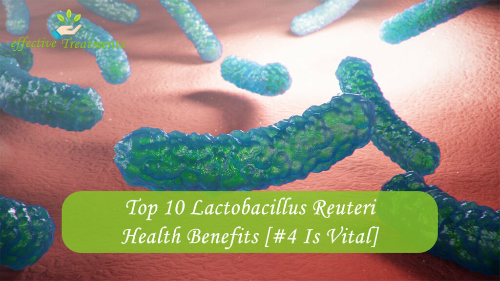 Top 10 Lactobacillus Reuteri Health Benefits [#4 Is Vital]