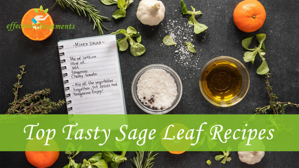 Top 3 Tasty Recipes With Sage Leaf