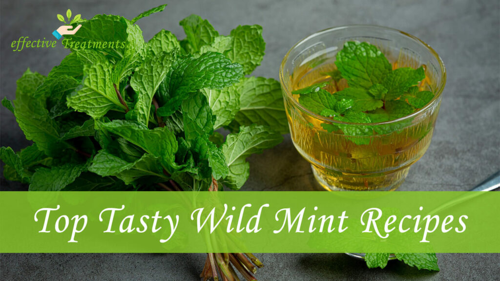 Top 3 Tasty Recipes With Wild Mint