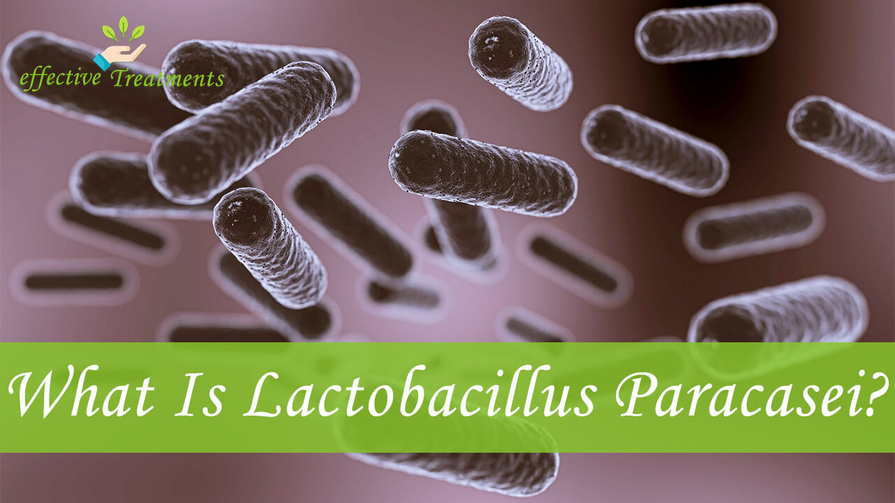 10 Amazing Health Benefits of Lactobacillus Paracasei for Your Body