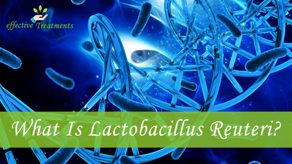 Top 10 Lactobacillus Reuteri Health Benefits [4 Is Vital]