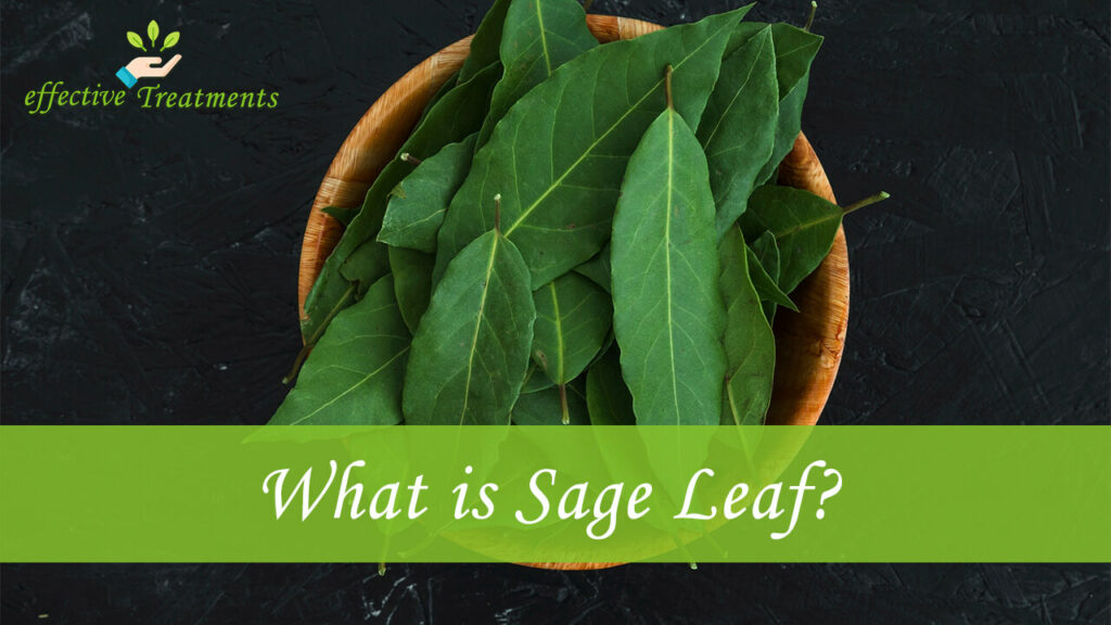 What Is Sage Leaf