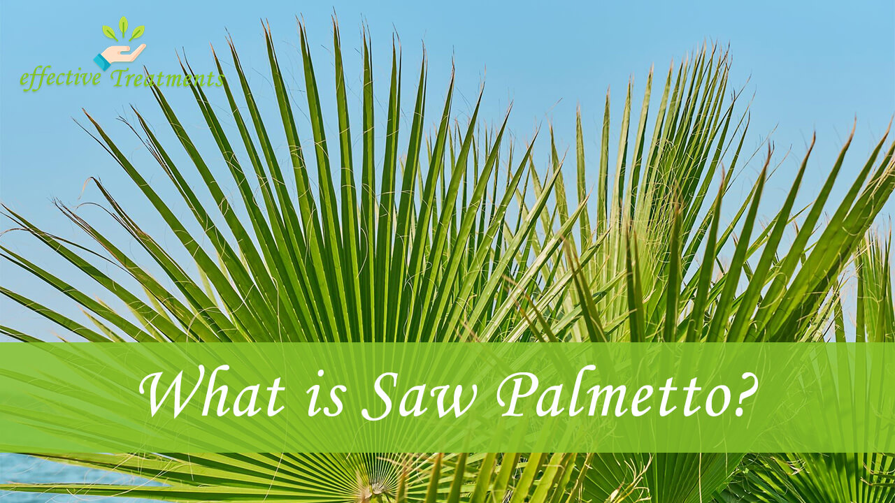 Saw Palmetto Top 10 Health Benefits [Men Needs Them Daily]