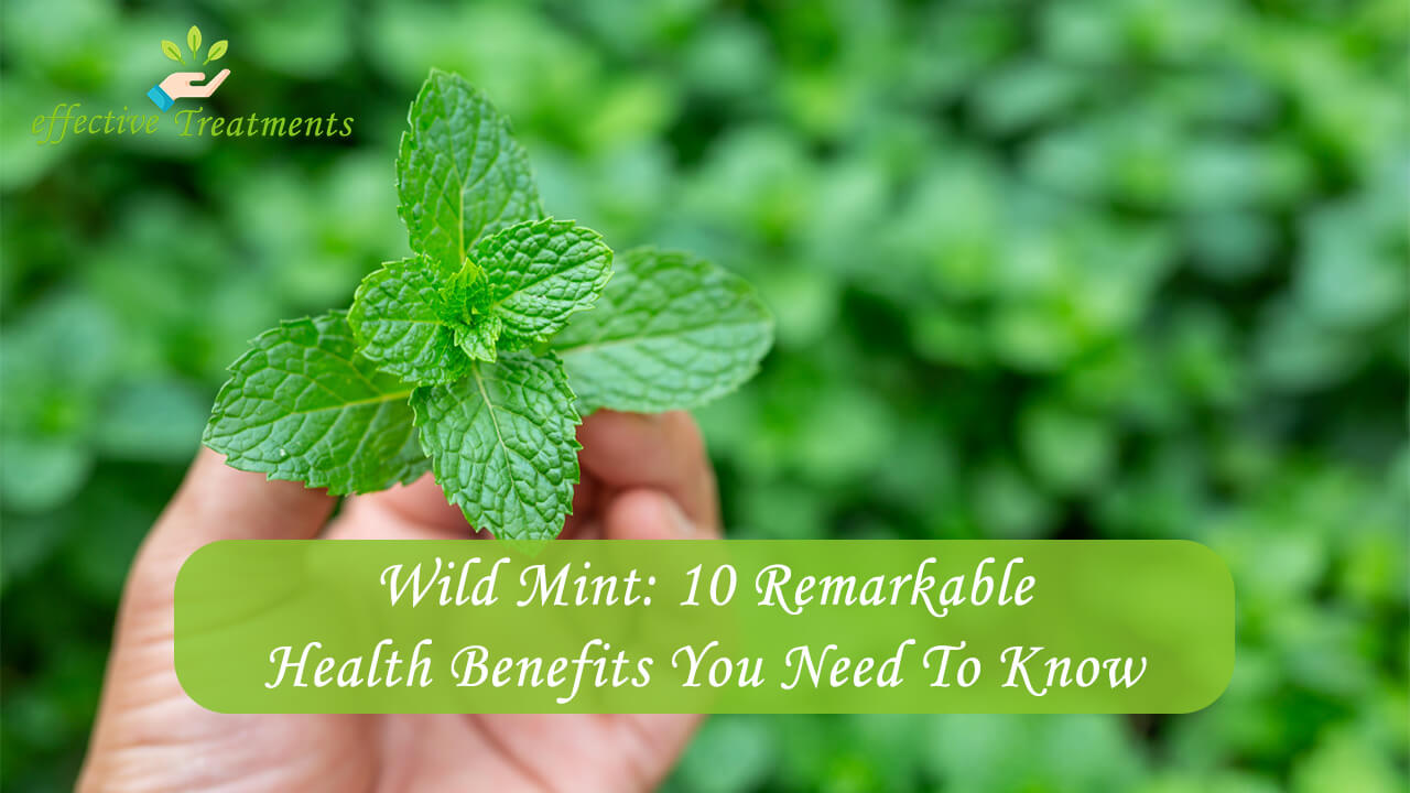 Wild Mint 10 Remarkable Health Benefits You Need To Know