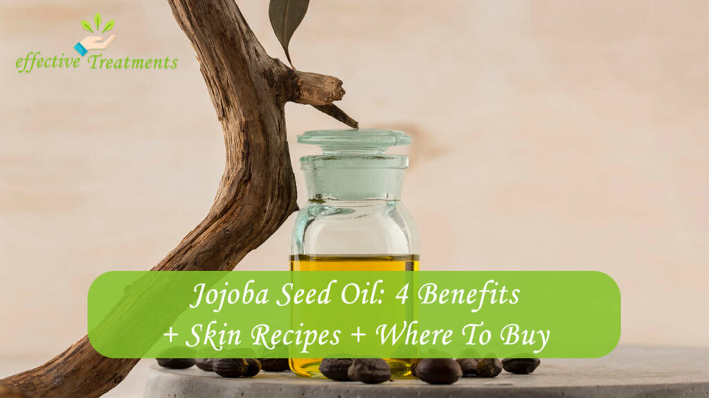 Jojoba Seed Oil 4 Benefits + Skin Recipes + Where To Buy