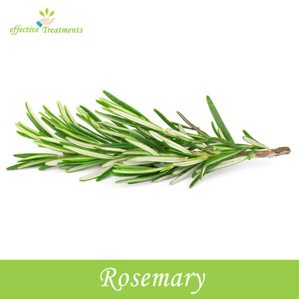 Rosemary