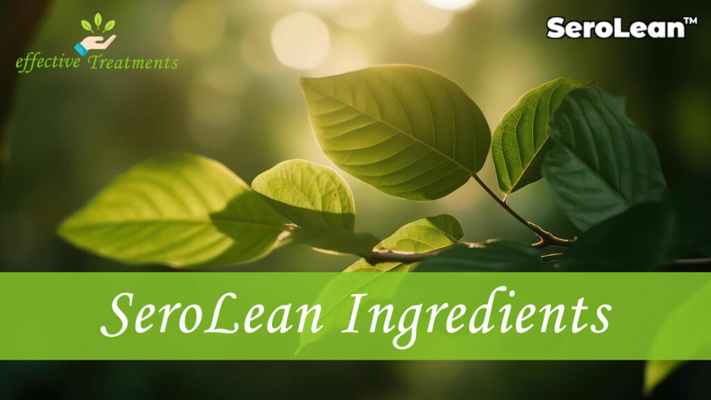 SeroLean Ingredients