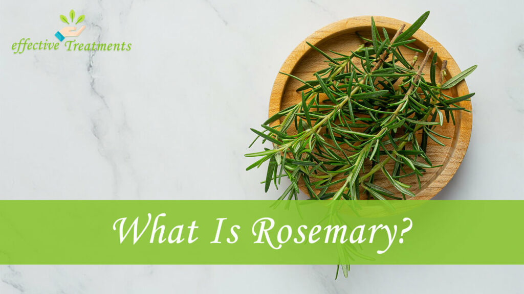 What Is Rosemary