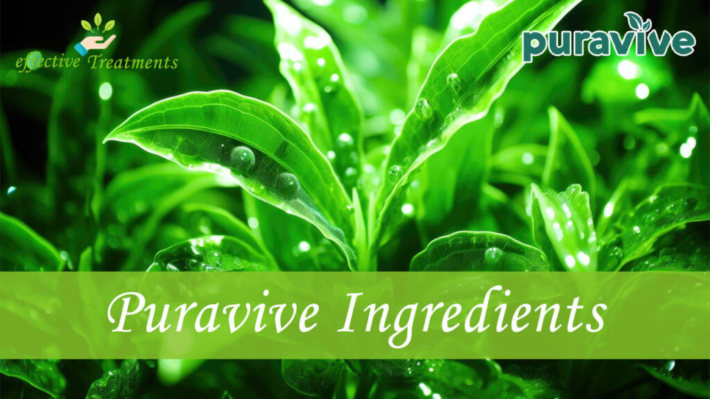 Puravive Ingredients