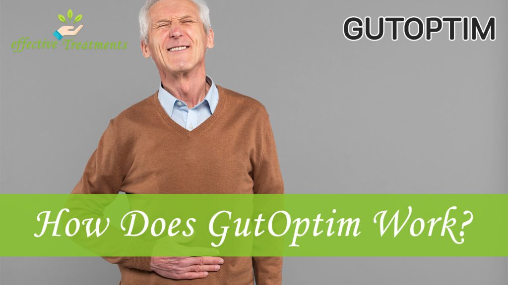 How Does GutOptim Work