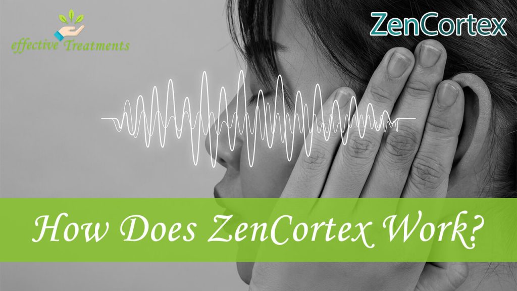How Does ZenCortex Work