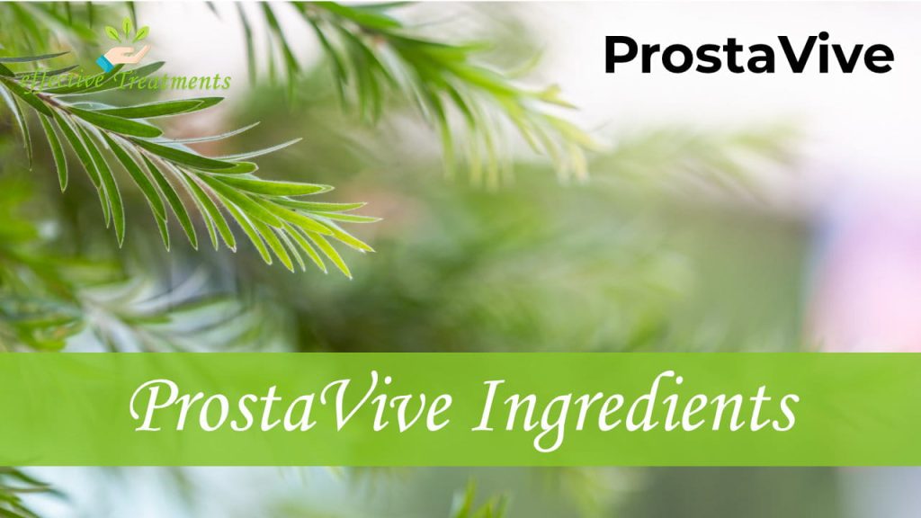 ProstaVive Ingredients