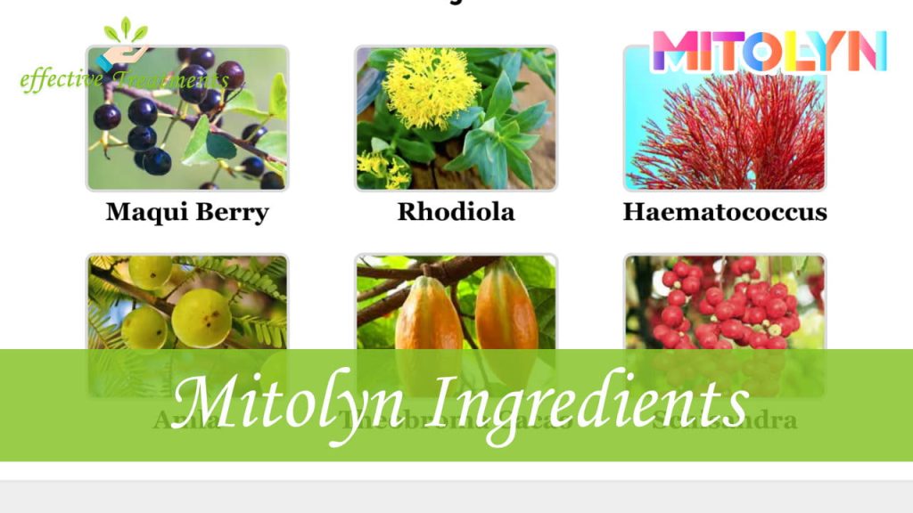 Mitolyn Ingredients