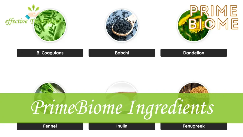 PrimeBiome Ingredients