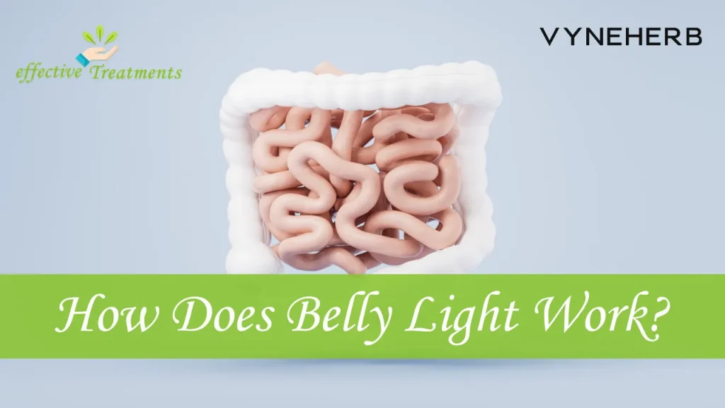 How Does Vyneherb Belly Light Work? (Step by Step)