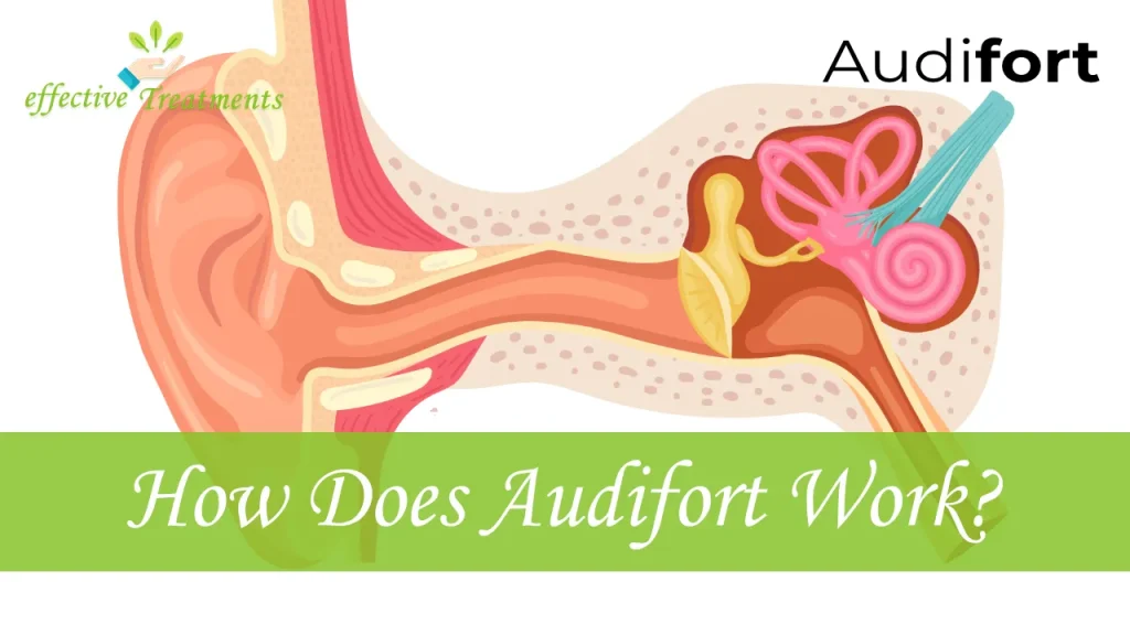 How Does Audifort Work?