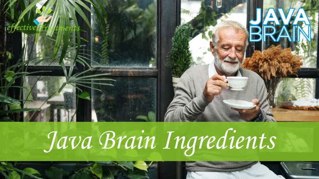 Java Brain Ingredients