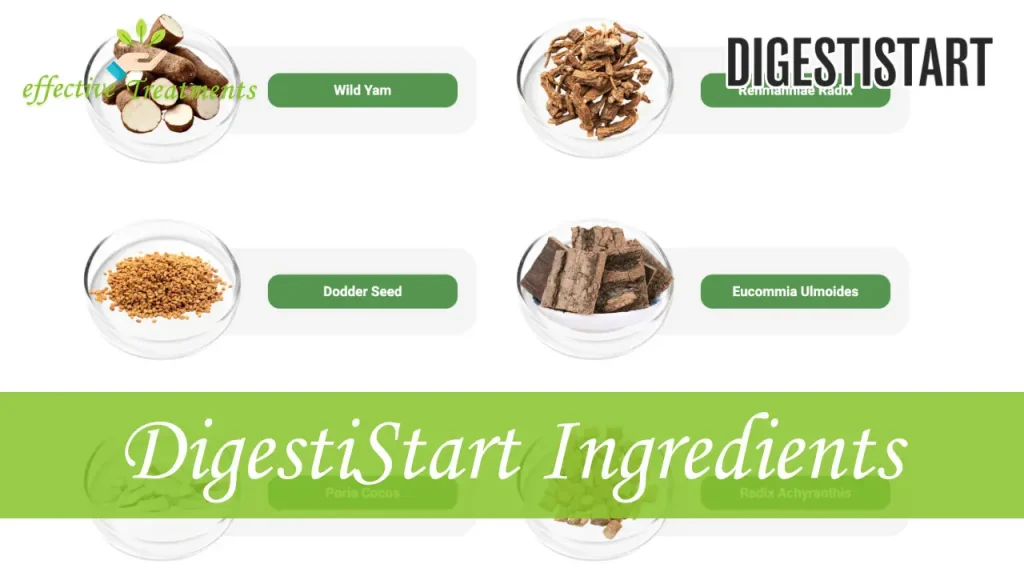 DigestiStart Ingredients
